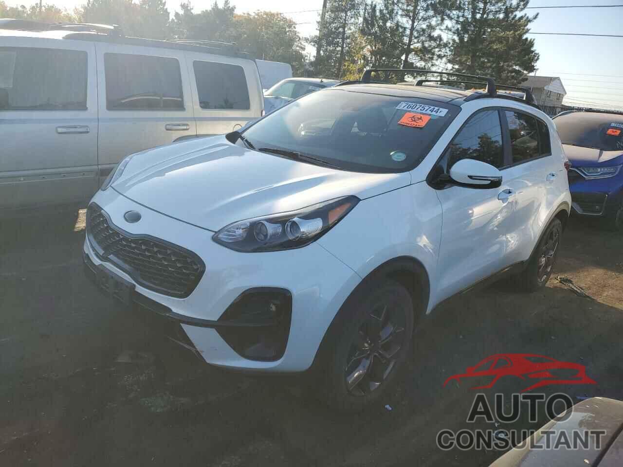 KIA SPORTAGE 2022 - KNDP6CAC7N7996886