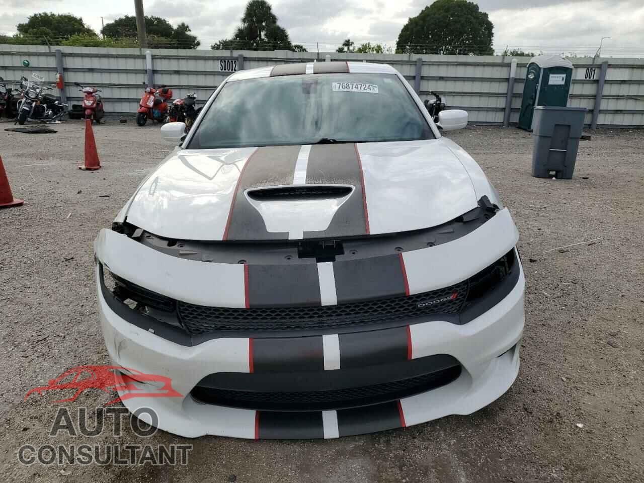 DODGE CHARGER 2019 - 2C3CDXCTXKH749343