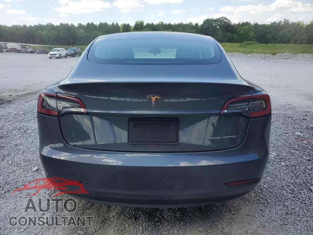 TESLA MODEL 3 2019 - 5YJ3E1EA3KF331245