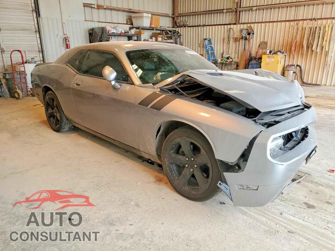 DODGE CHALLENGER 2013 - 2C3CDYAG1DH646875