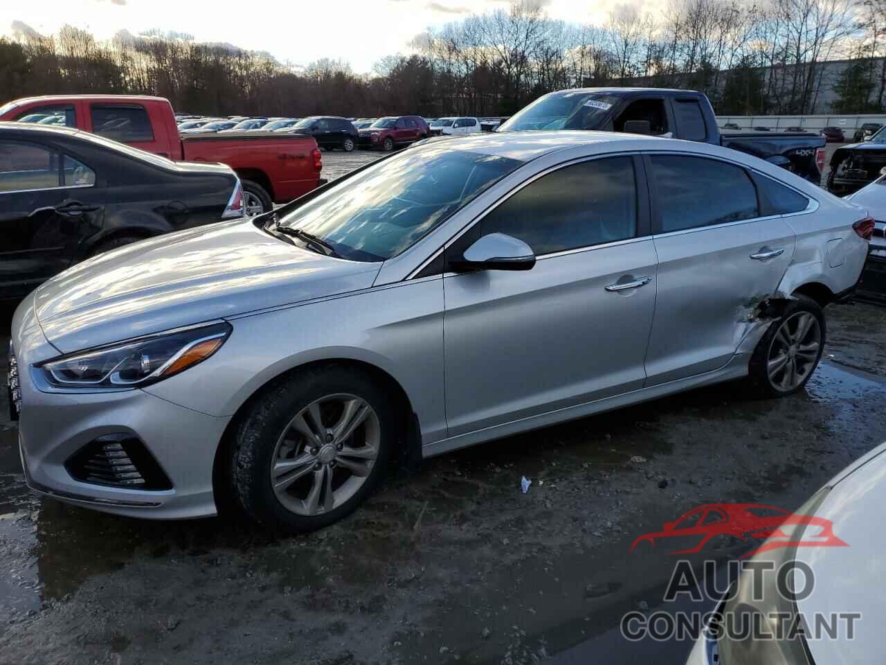 HYUNDAI SONATA 2019 - 5NPE34AF4KH733259