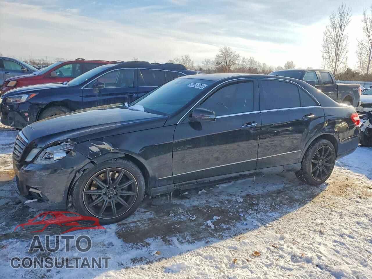 MERCEDES-BENZ E-CLASS 2011 - WDDHF9AB9BA384756