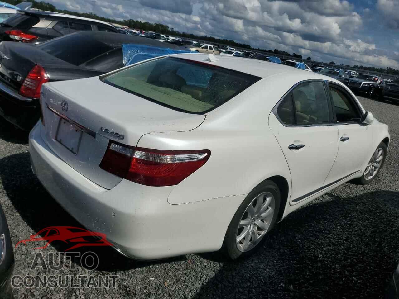 LEXUS LS460 2009 - JTHBL46FX95088332
