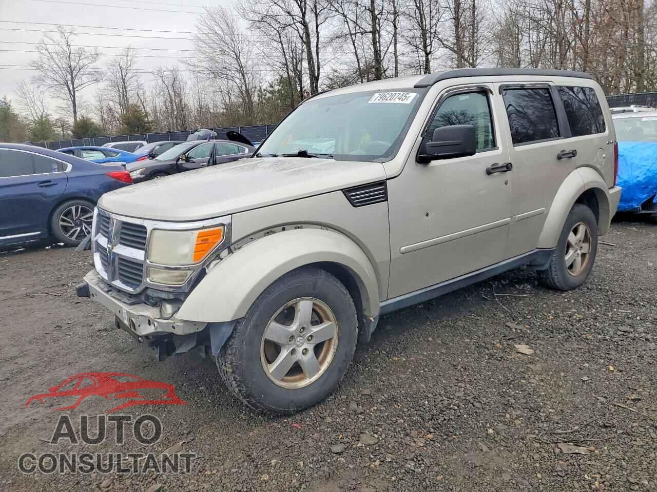 DODGE NITRO 2009 - 1D8GU28K99W513585