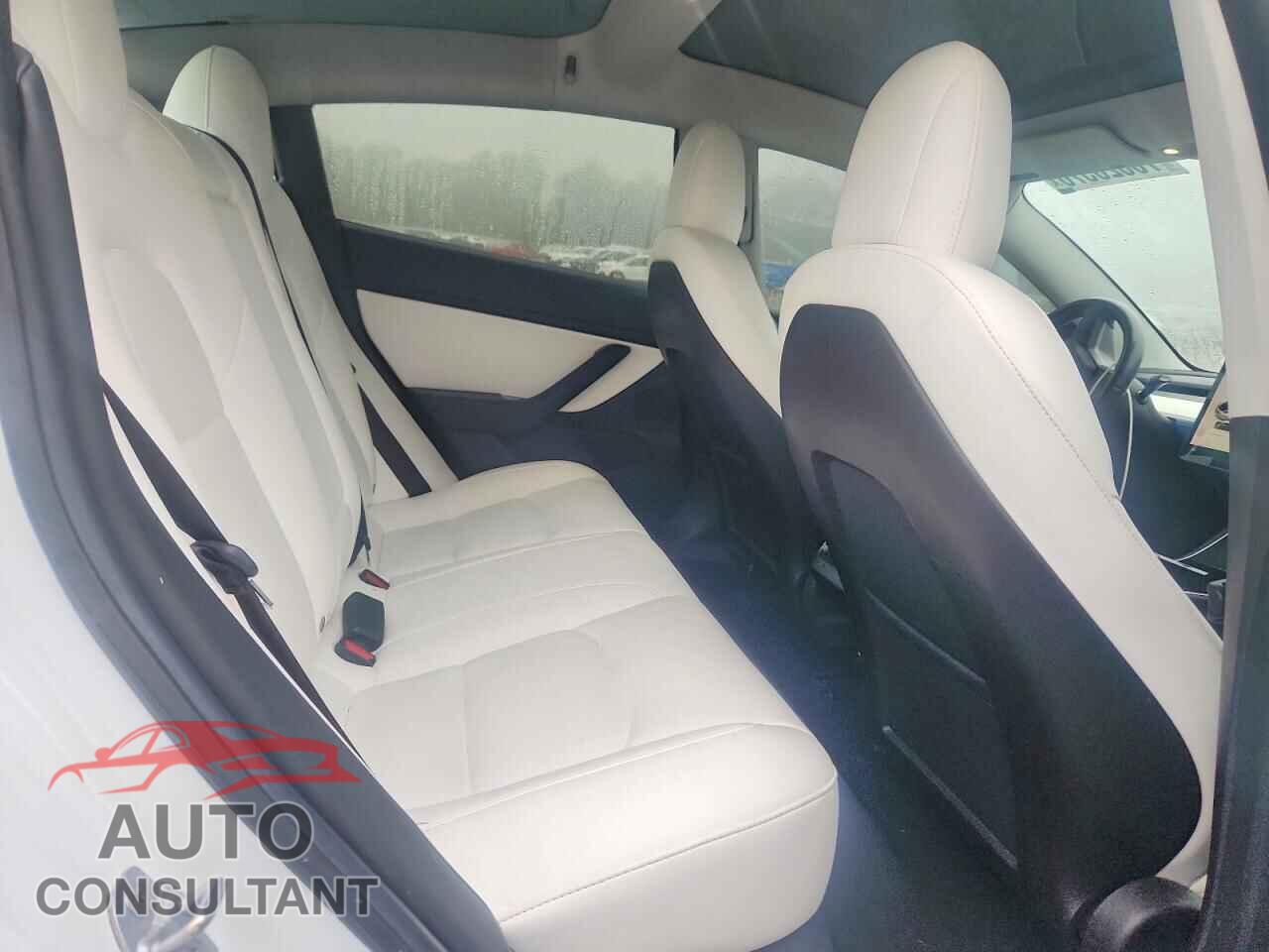 TESLA MODEL 3 2019 - 5YJ3E1EA0KF407617
