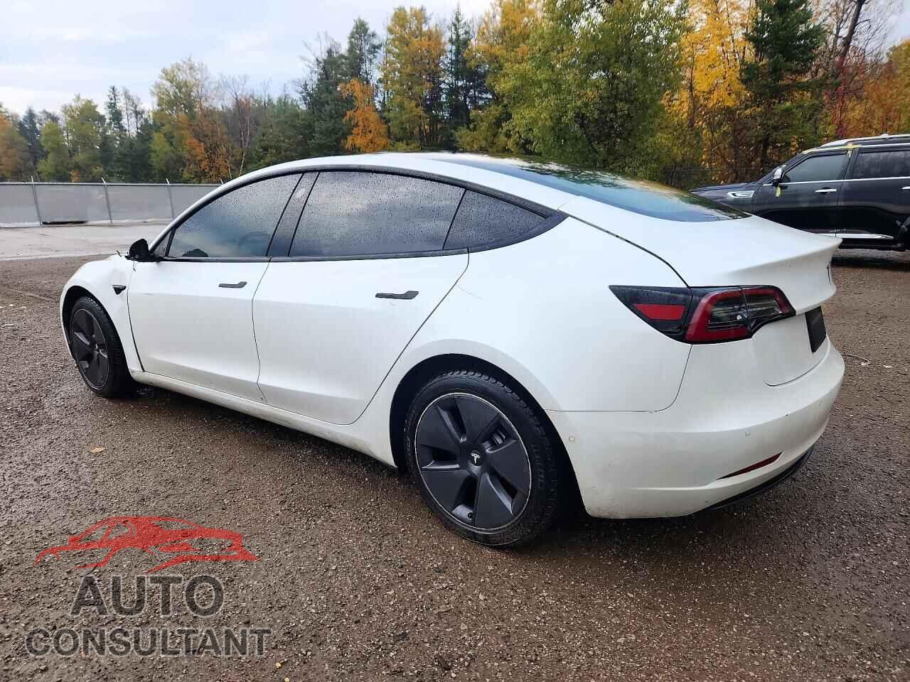 TESLA MODEL 3 2021 - 5YJ3E1EA2MF918507