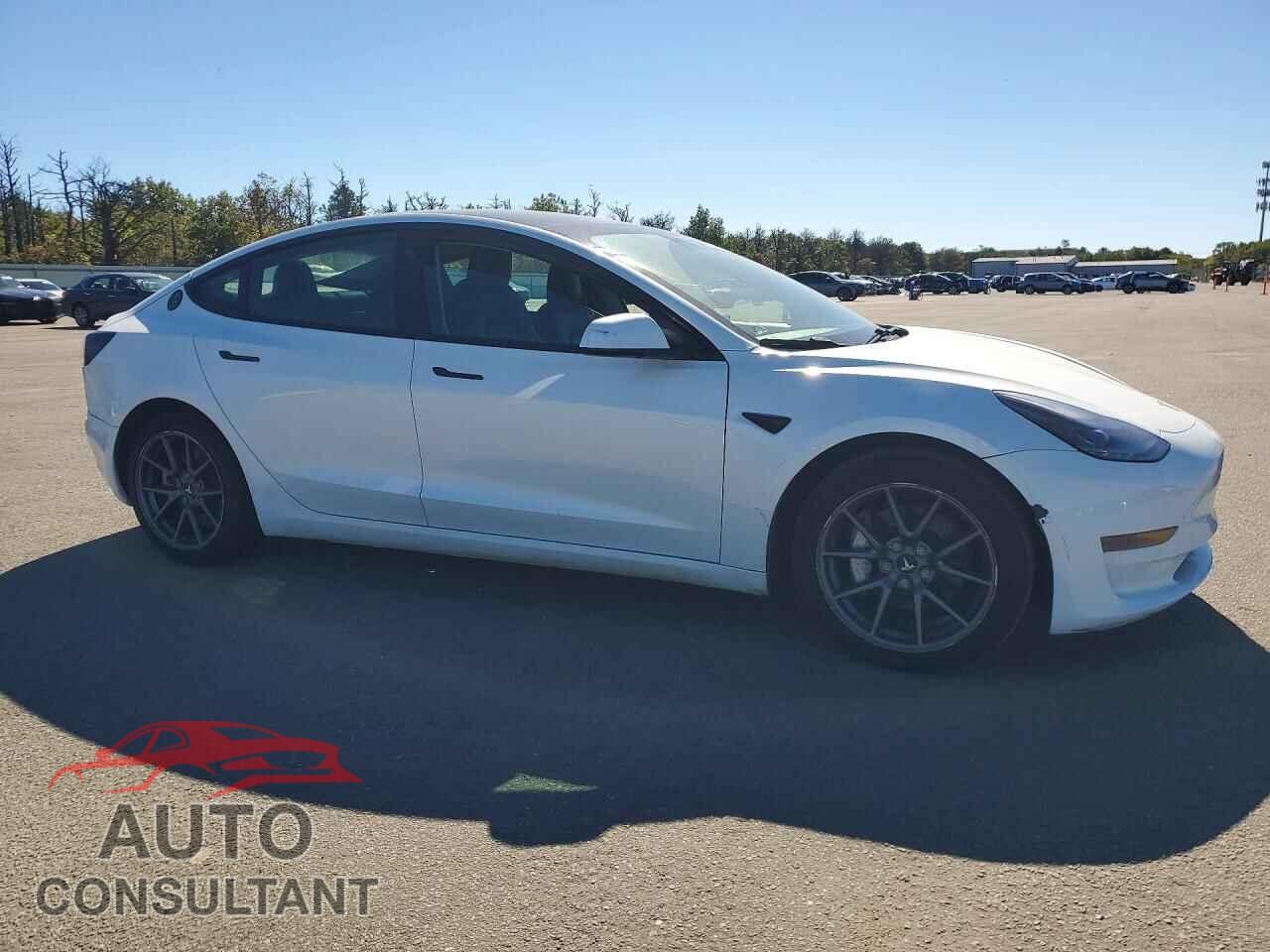 TESLA MODEL 3 2021 - 5YJ3E1EA5MF030253