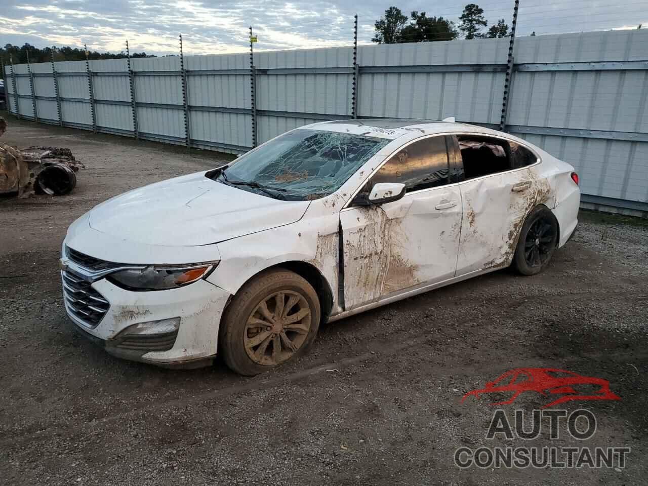 CHEVROLET MALIBU 2019 - 1G1ZD5ST1KF141474