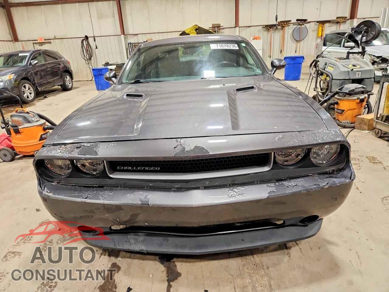 DODGE CHALLENGER 2013 - 2C3CDYAG3DH569586