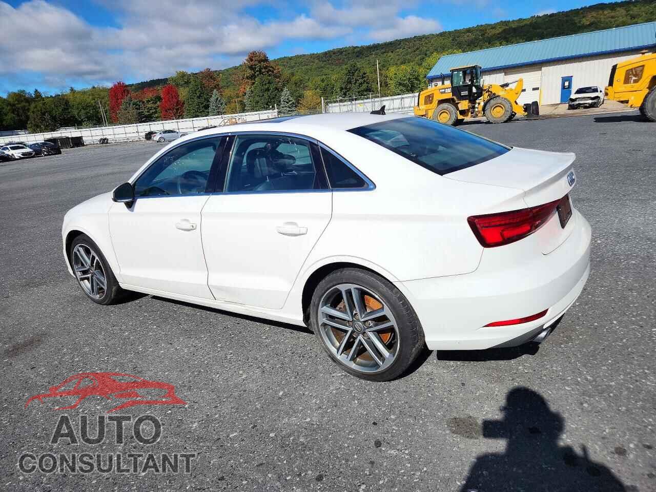 AUDI A3 2019 - WAUBEGFF8KA089292