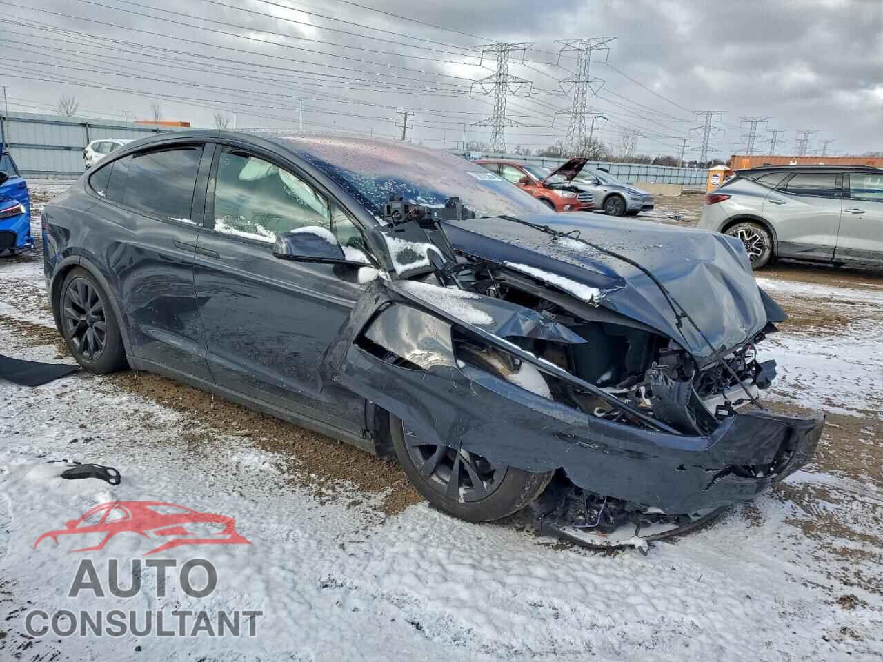 TESLA MODEL X 2024 - 7SAXCBE55RF435183
