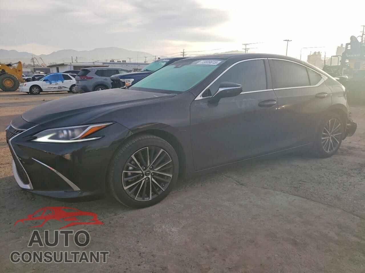 LEXUS ES300 2024 - 58ADA1C19RU050690