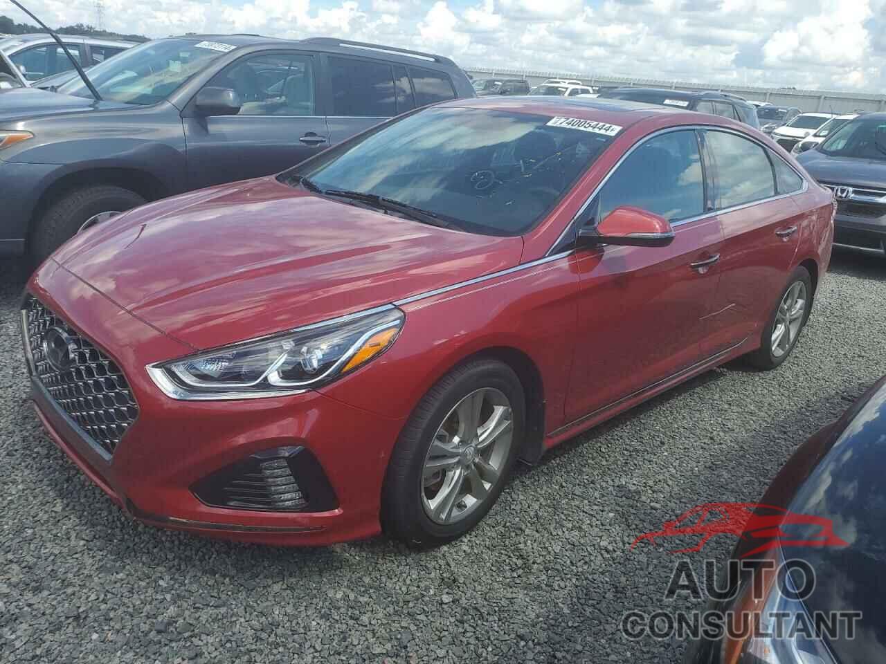 HYUNDAI SONATA 2019 - 5NPE34AF4KH734069