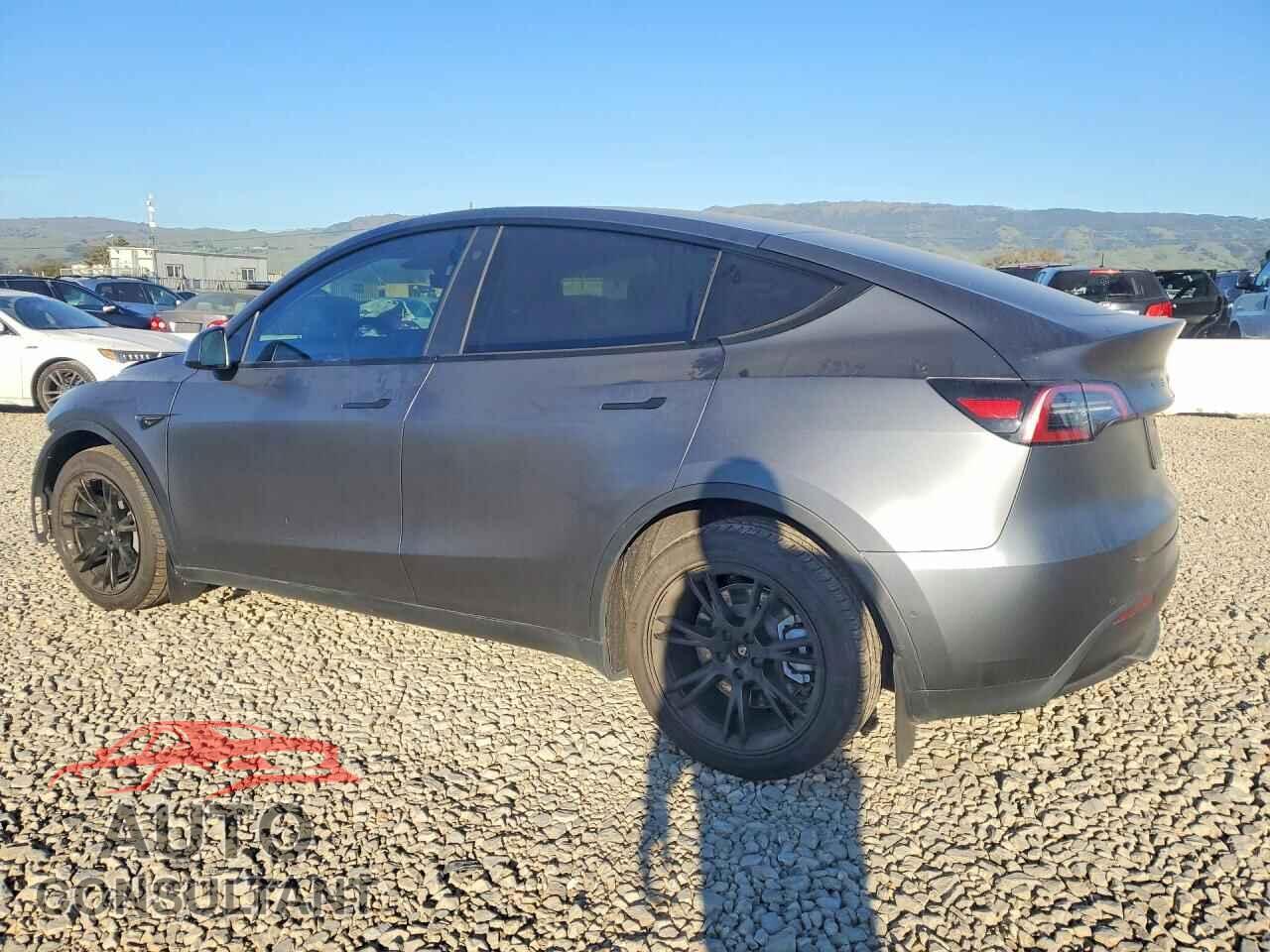 TESLA MODEL Y 2022 - 7SAYGDEE6NF359746