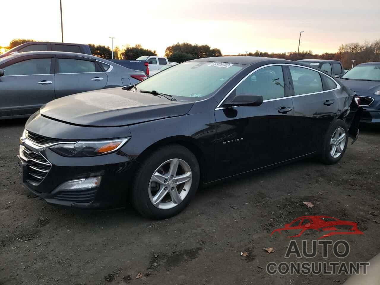 CHEVROLET MALIBU 2019 - 1G1ZC5ST1KF216290