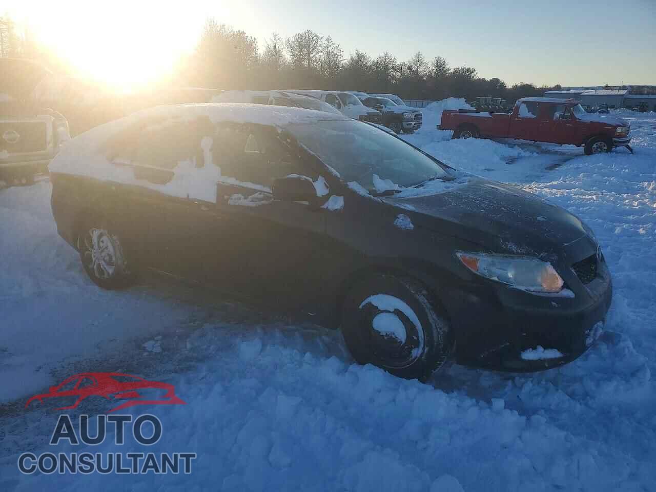 TOYOTA COROLLA 2009 - JTDBL40E29J001287