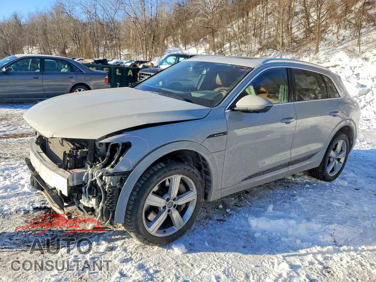 AUDI E-TRON 2019 - WA1VAAGE1KB014033