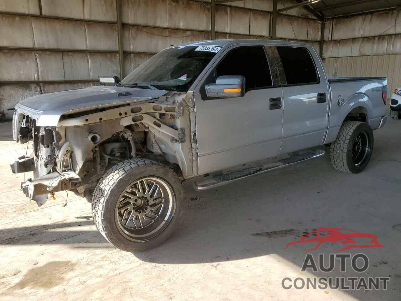 FORD F-150 2010 - 1FTEW1C82AFA64535