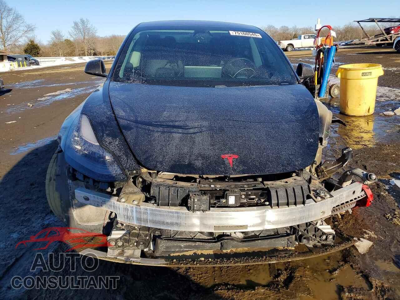 TESLA MODEL 3 2019 - 5YJ3E1EB2KF236622