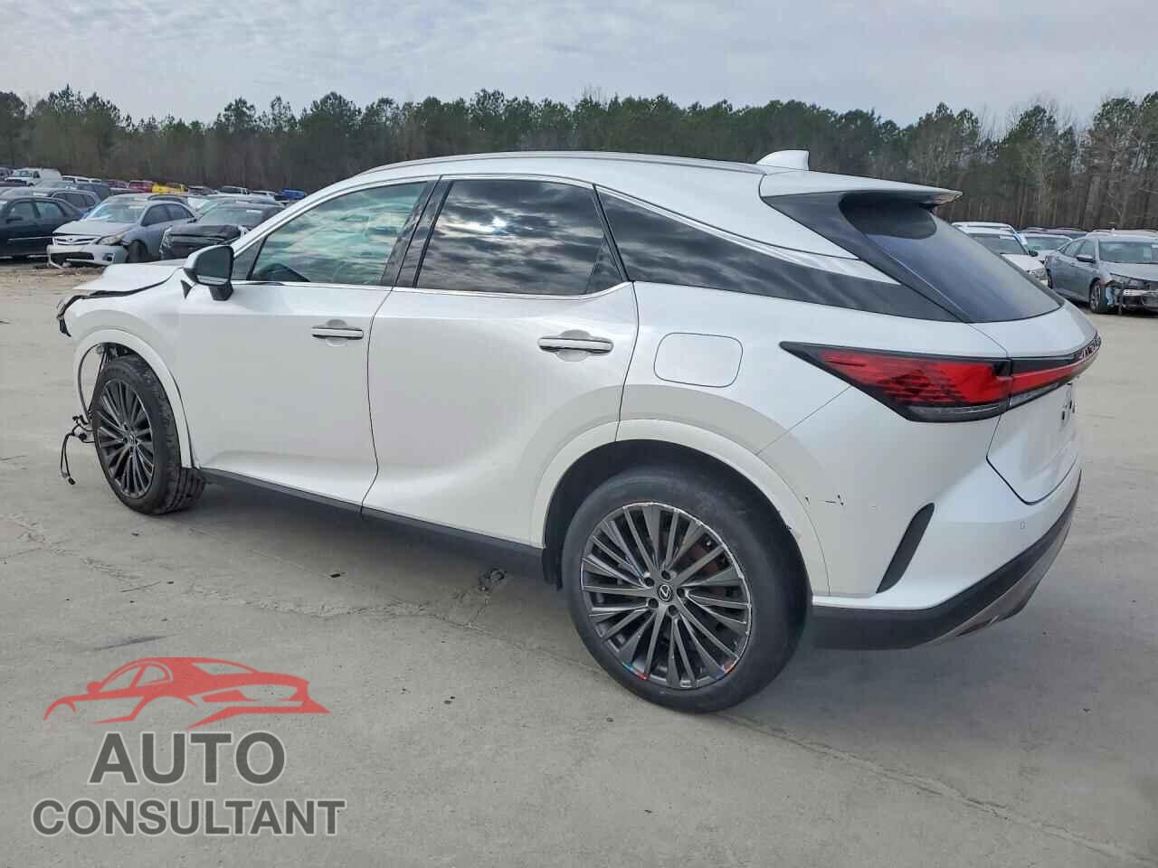 LEXUS RX 350H BA 2023 - 2T2BBMCA2PC015366