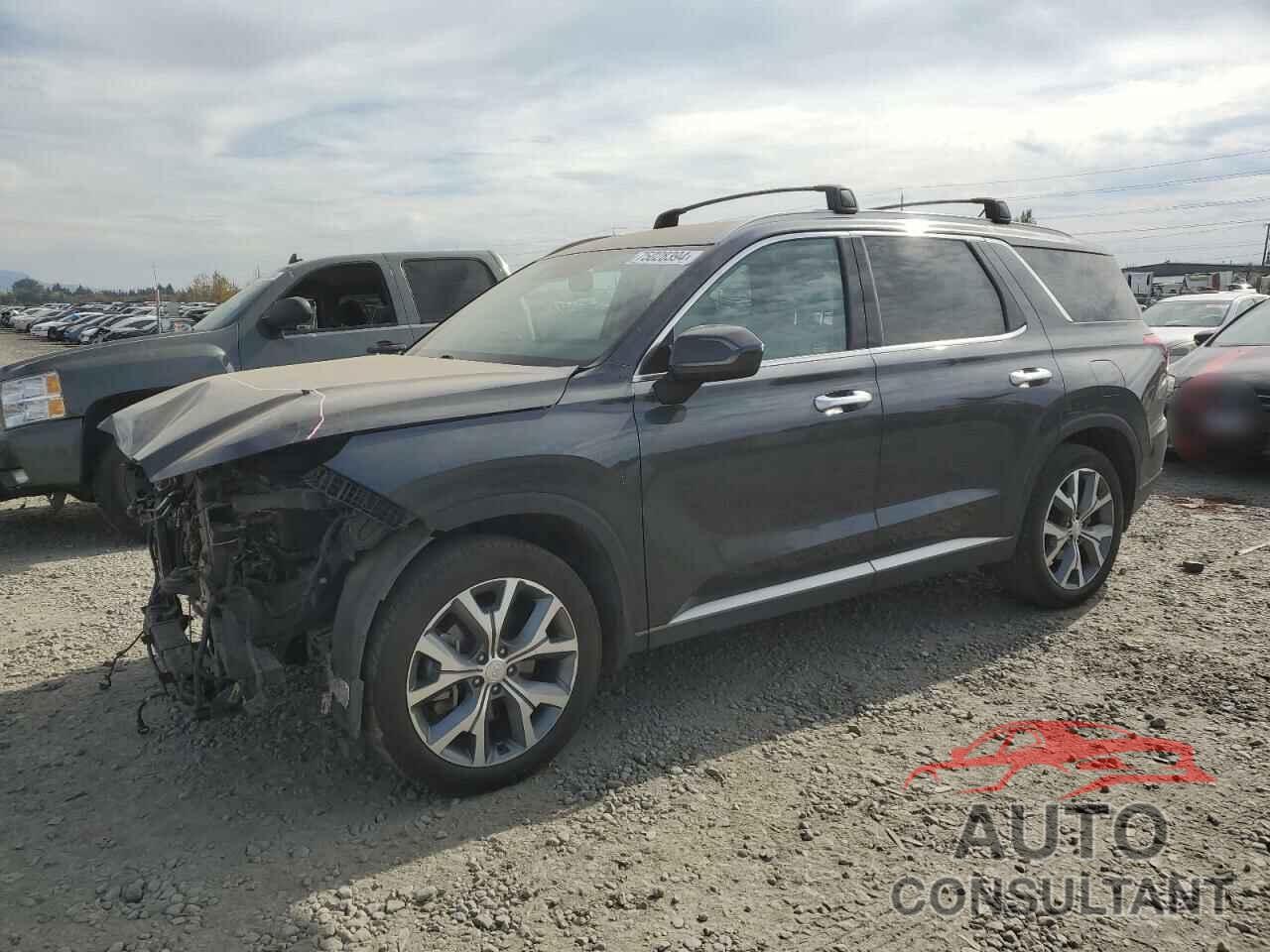 HYUNDAI PALISADE 2020 - KM8R3DHE5LU067708
