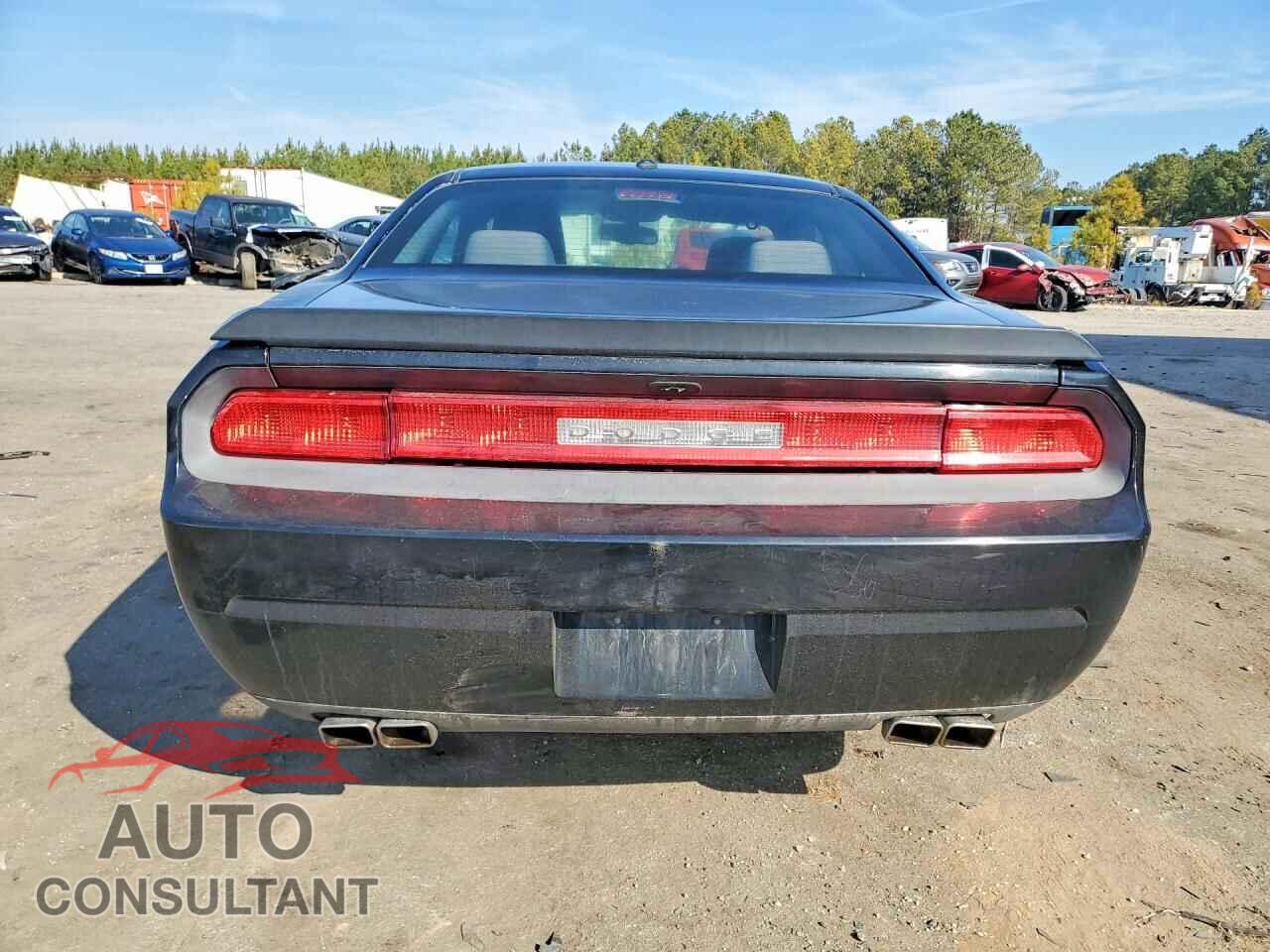 DODGE CHALLENGER 2013 - 2C3CDYAG8DH501574