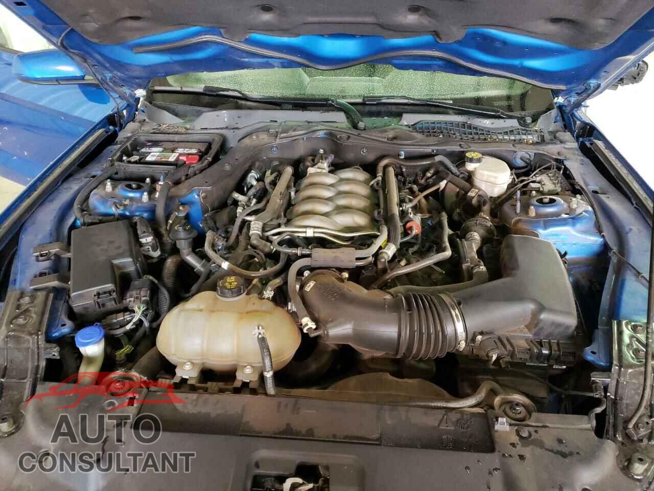 FORD MUSTANG 2020 - 1FA6P8CF8L5127516