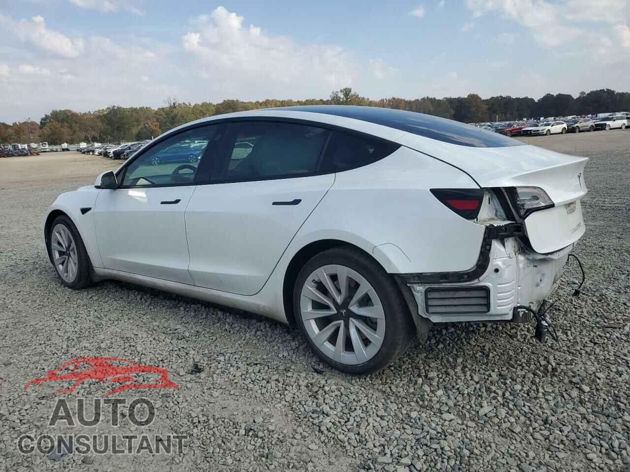 TESLA MODEL 3 2021 - 5YJ3E1EB8MF924353