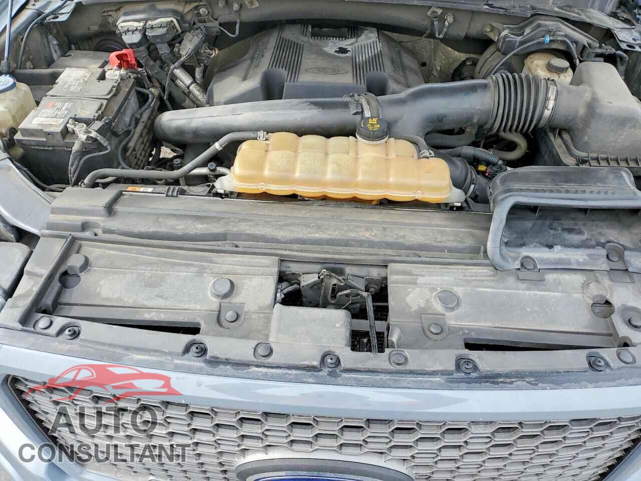 FORD F-150 2019 - 1FTEW1E43KFC37247