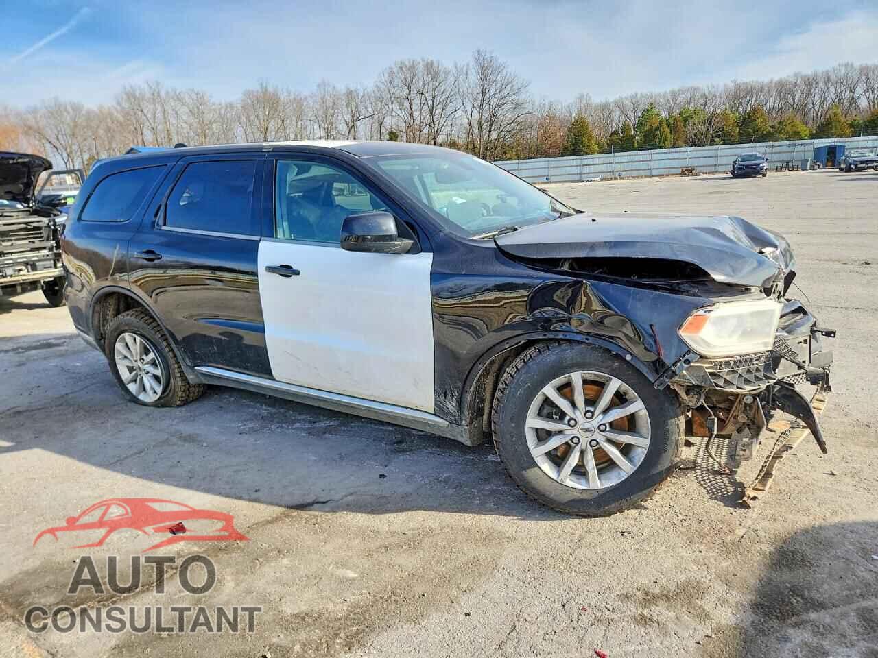 DODGE DURANGO 2019 - 1C4SDJFTXKC806739