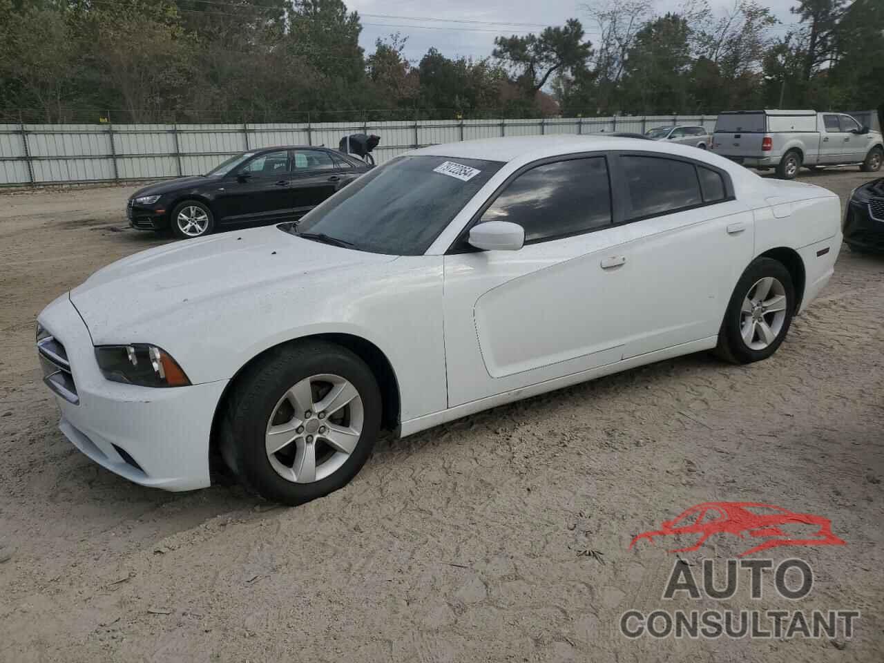 DODGE CHARGER 2014 - 2C3CDXBG1EH217147