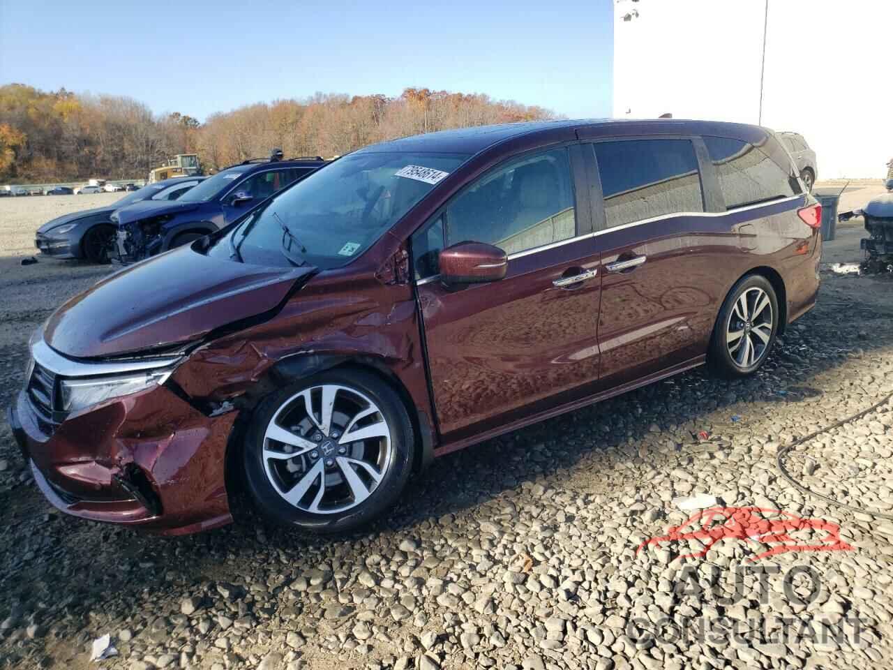 HONDA ODYSSEY 2021 - 5FNRL6H81MB008742