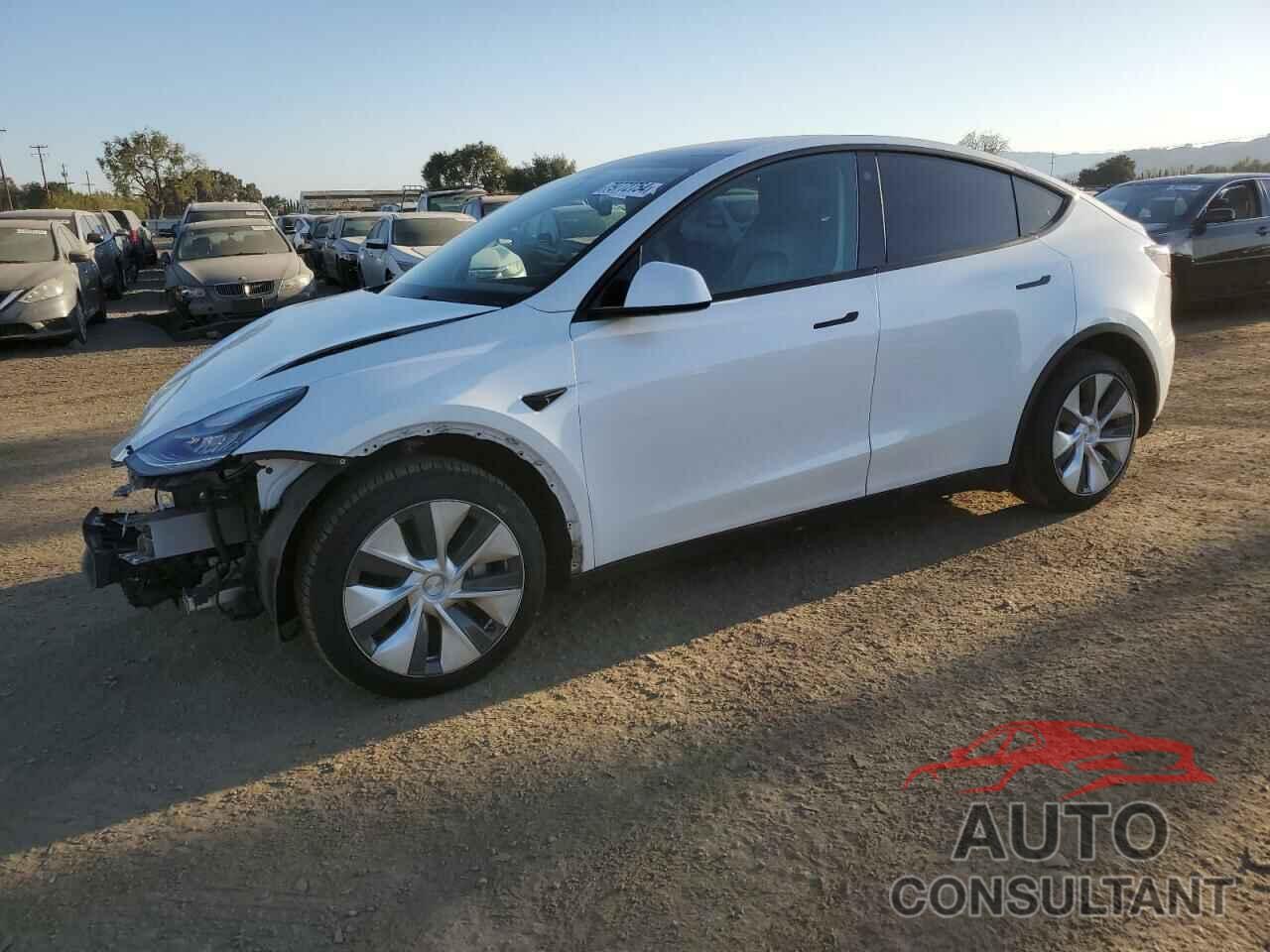 TESLA MODEL Y 2021 - 5YJYGDEE0MF279368