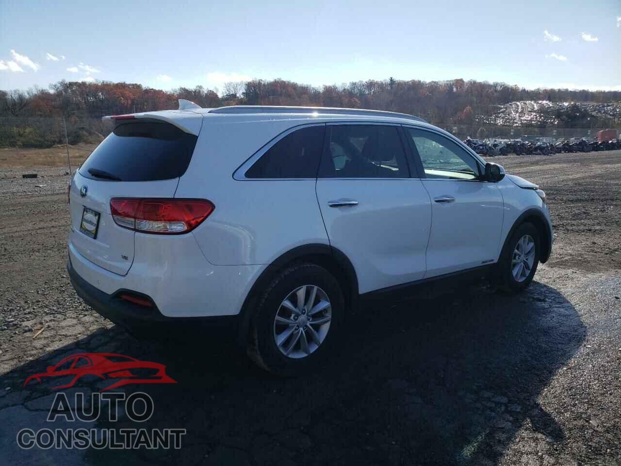 KIA SORENTO 2016 - 5XYPGDA55GG091461