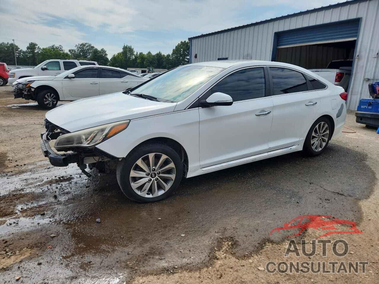 HYUNDAI SONATA 2016 - 5NPE34AF0GH428784