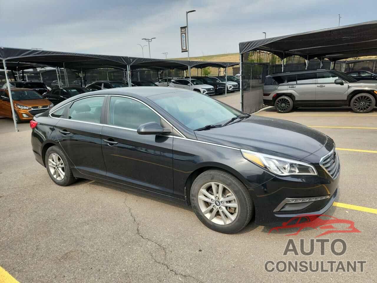 HYUNDAI SONATA 2017 - 5NPE24AF1HH486696