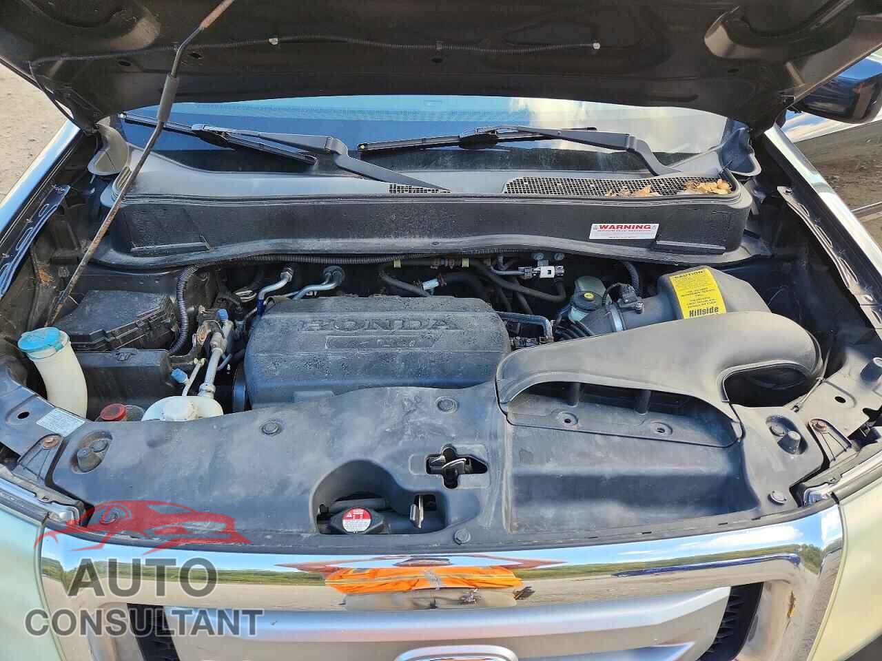 HONDA PILOT 2010 - 5FNYF4H51AB019751