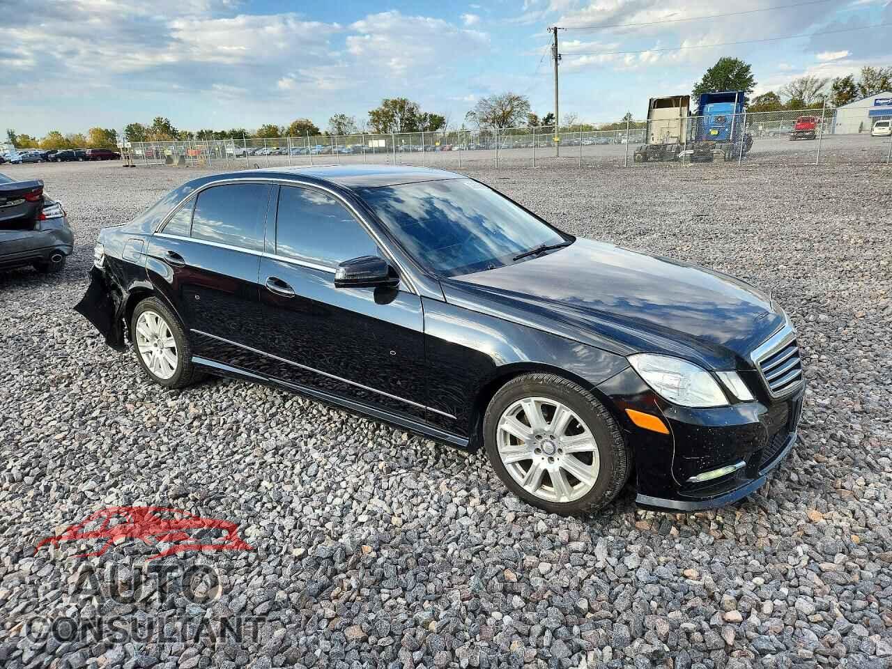 MERCEDES-BENZ E-CLASS 2013 - WDDHF8JB7DA717341