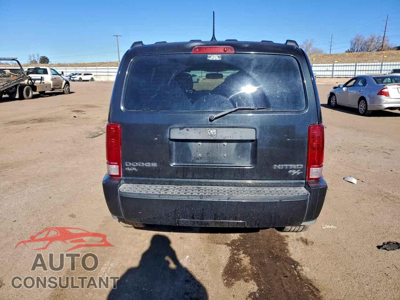 DODGE NITRO 2011 - 1D4PU4GX3BW607459