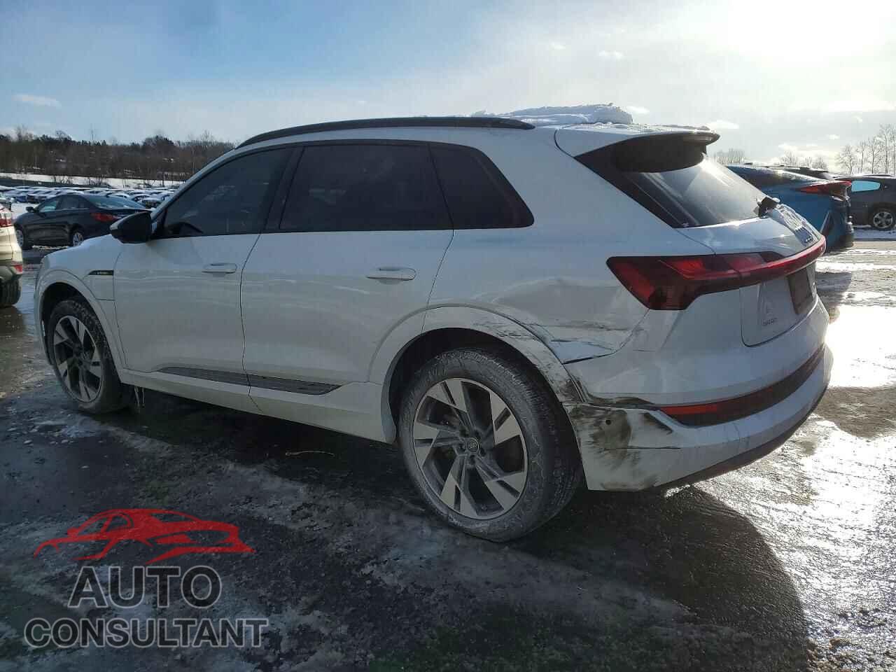 AUDI E-TRON 2022 - WA1AAAGE1NB014519