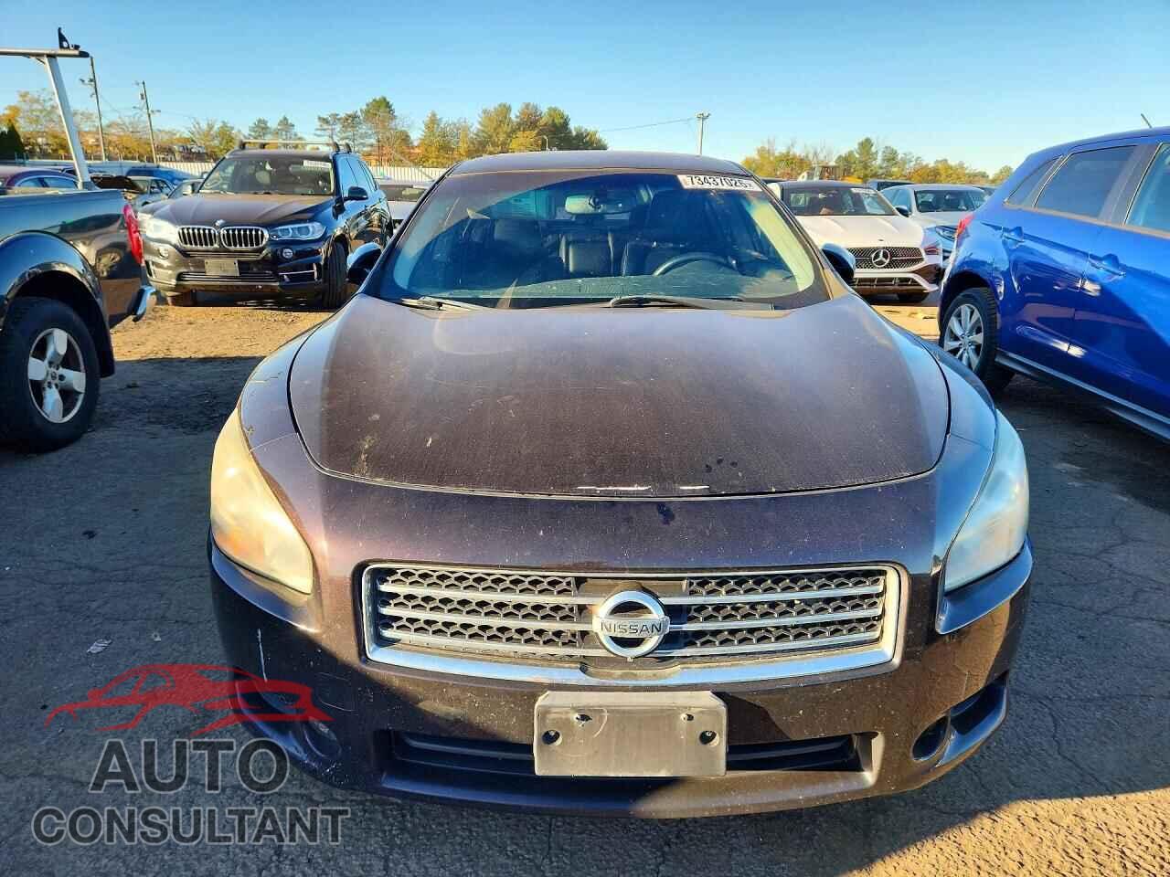 NISSAN MAXIMA 2011 - 1N4AA5AP4BC839117