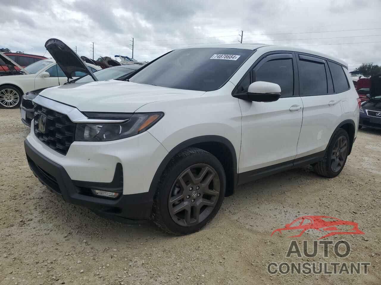 HONDA PASSPORT 2022 - 5FNYF7H57NB005196