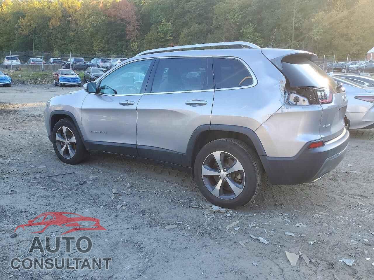 JEEP CHEROKEE 2019 - 1C4PJMDN4KD150634