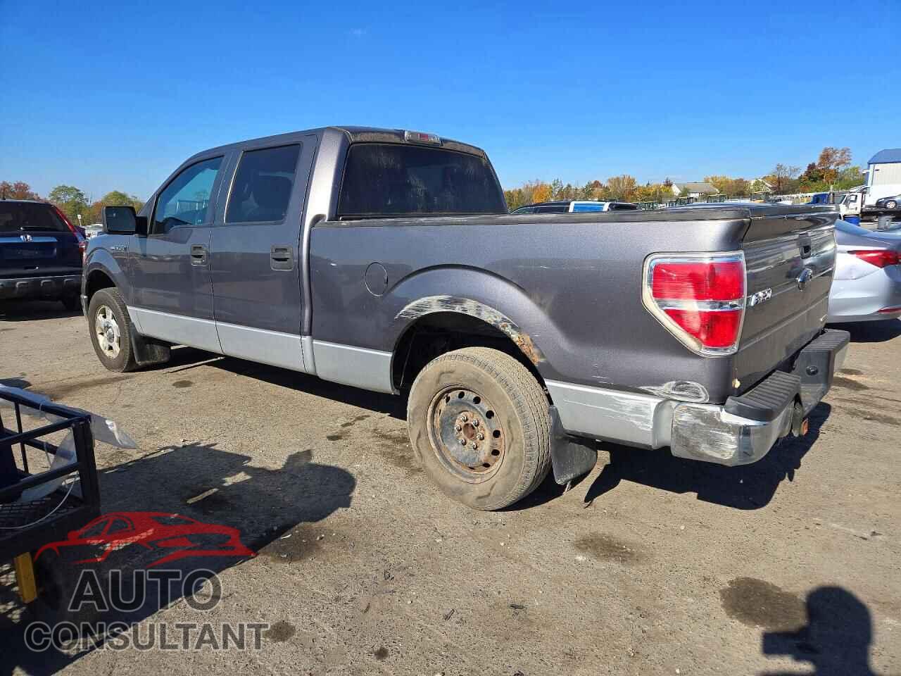 FORD F150 2013 - 1FTFW1CF8DFA12043