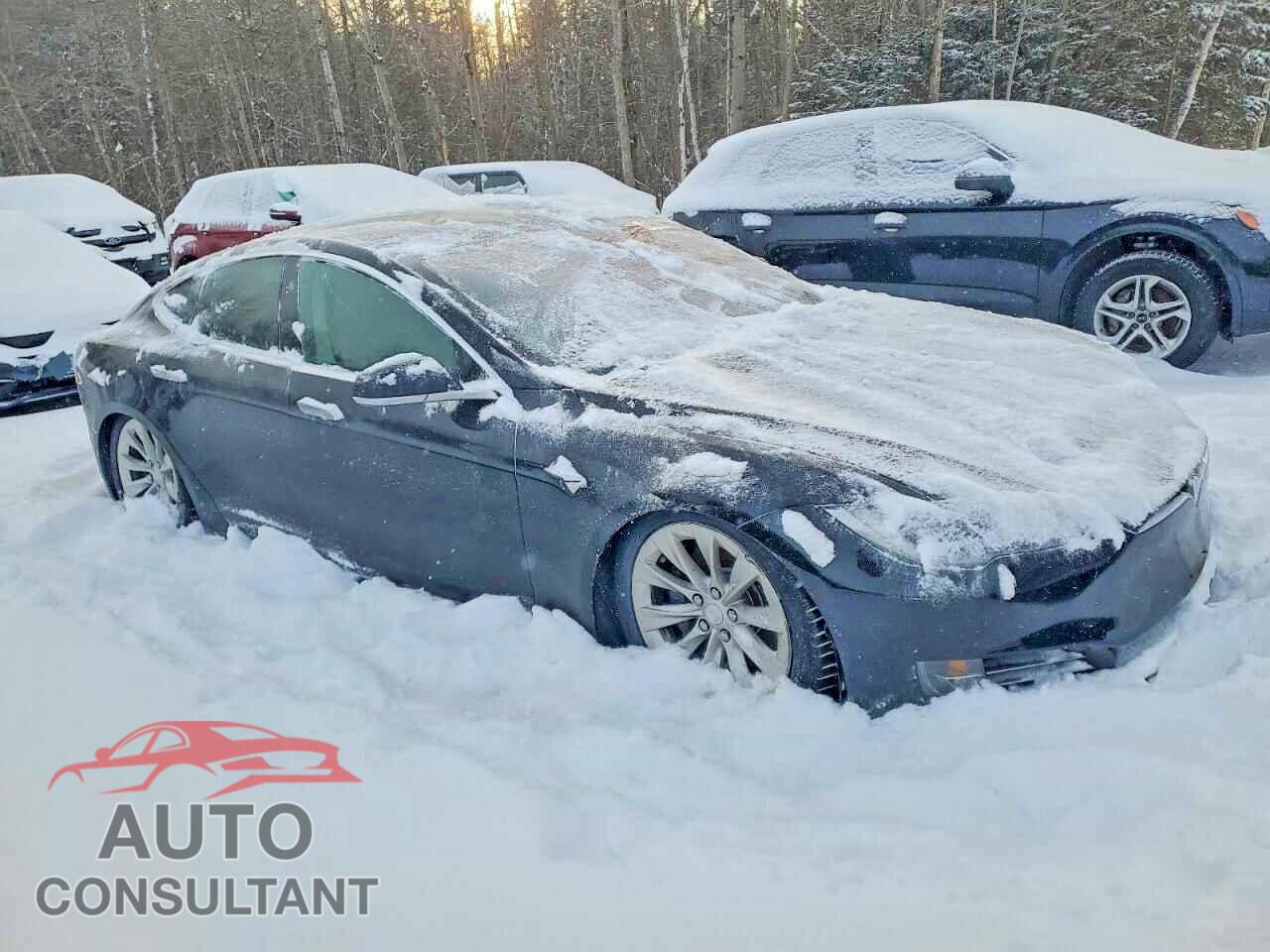 TESLA MODEL S 2016 - 5YJSA1E21GF169283