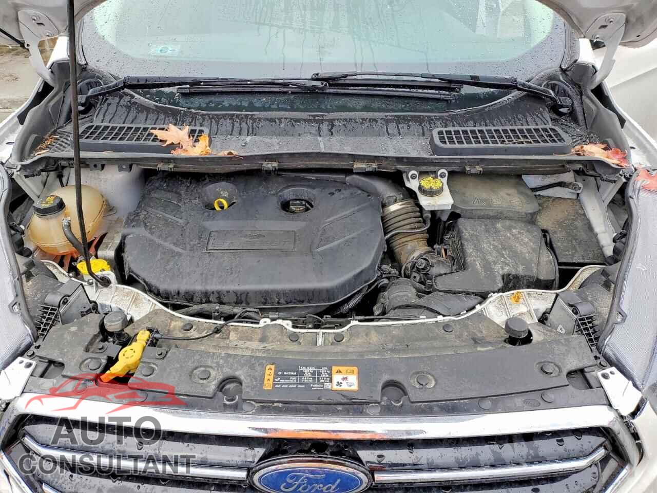FORD ESCAPE 2017 - 1FMCU9J99HUE04806