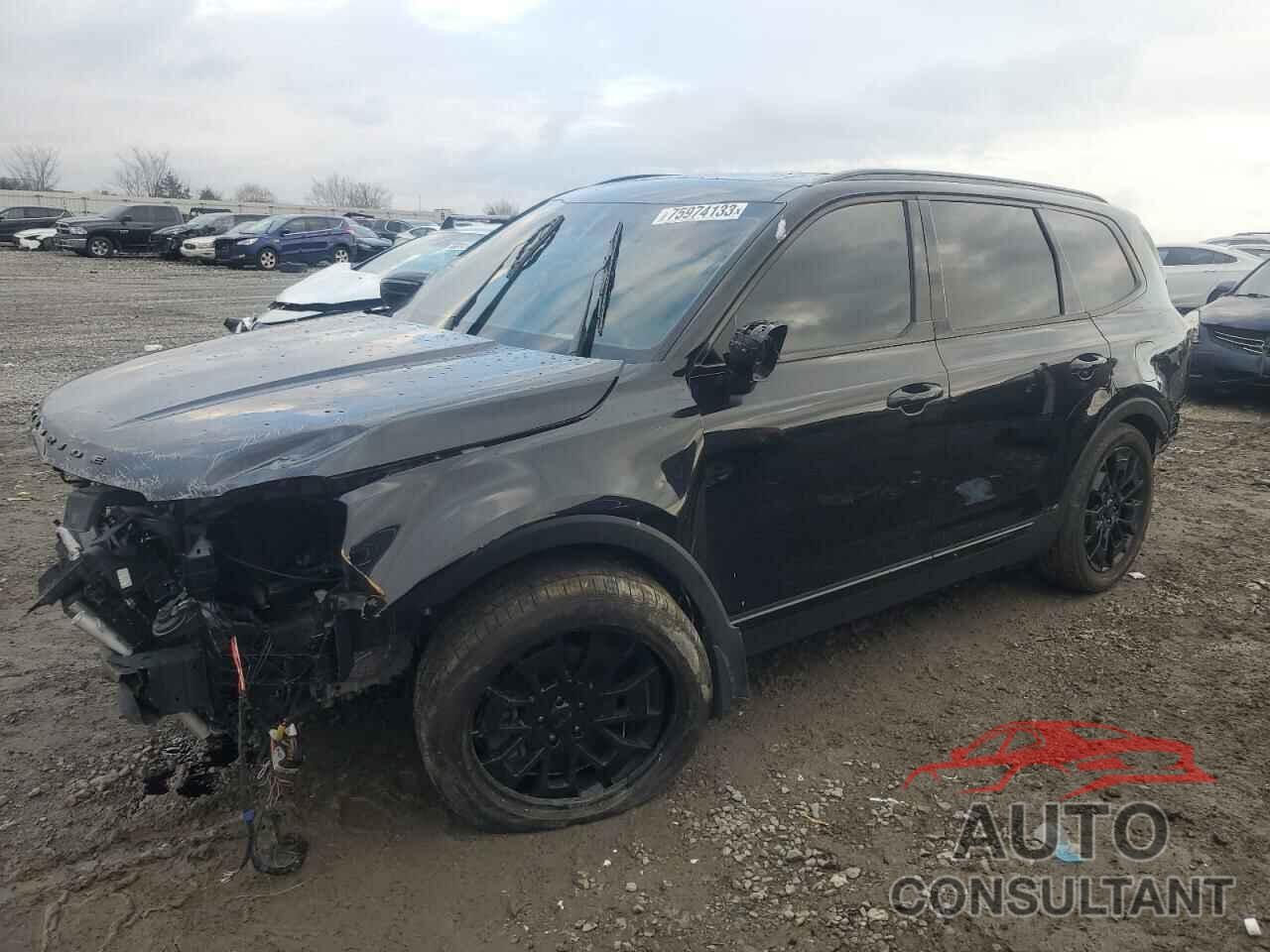 KIA TELLURIDE 2022 - 5XYP5DHC2NG248306