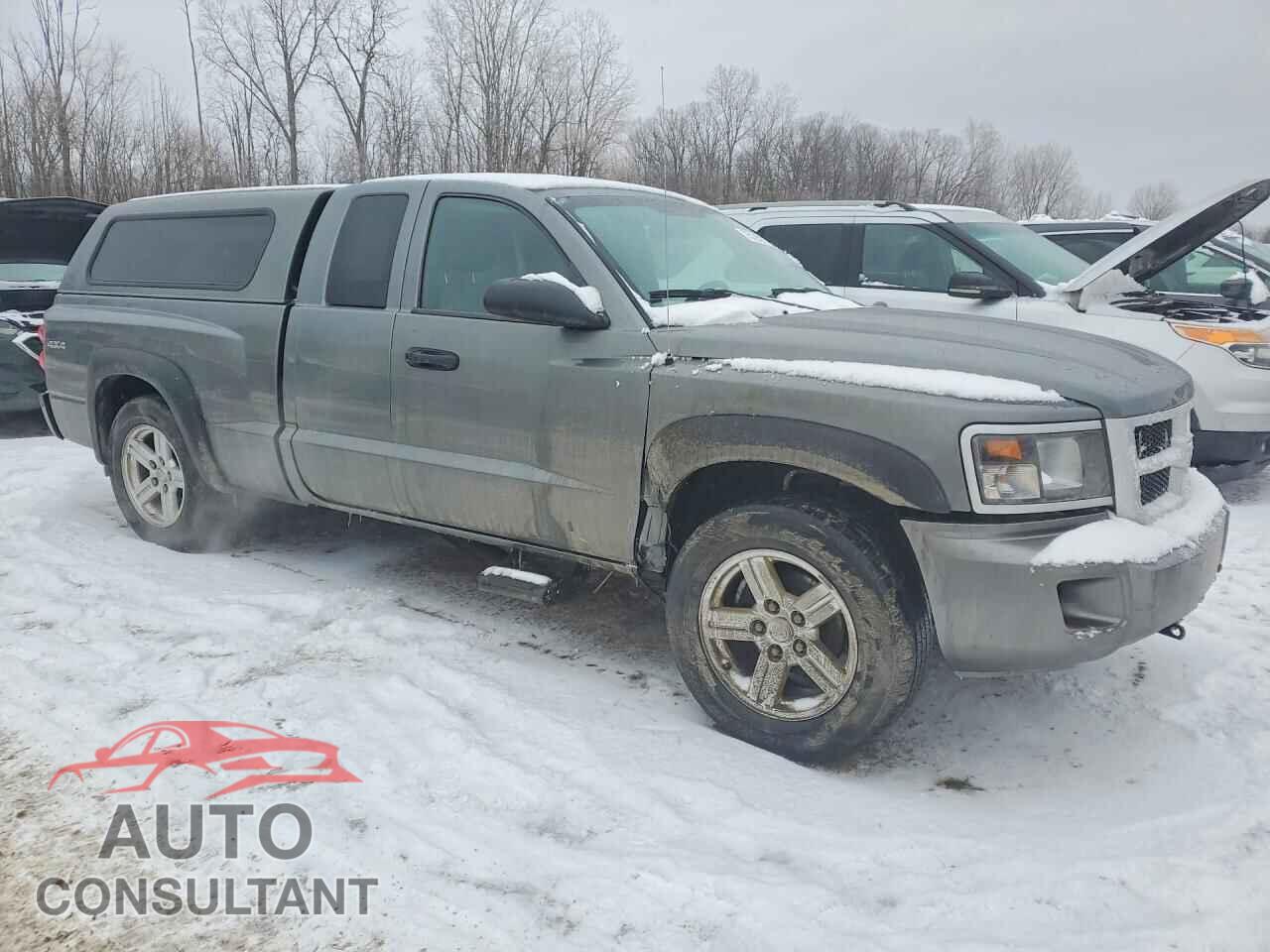 DODGE DAKOTA 2011 - 1D7RW3BK9BS559498