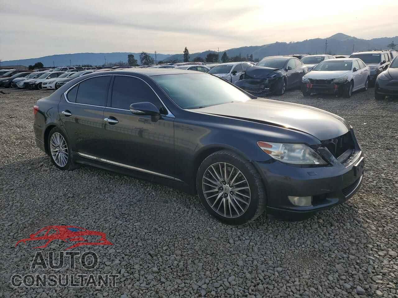 LEXUS LS460 2010 - JTHBL5EF0A5098606