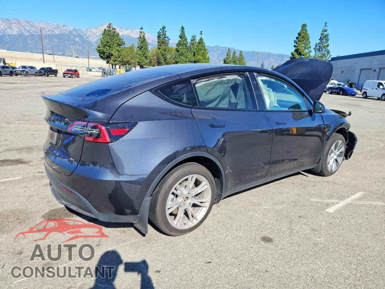 TESLA MODEL Y 2024 - 7SAYGDED9RF009508